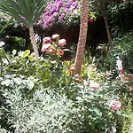 Meliti أكراتا