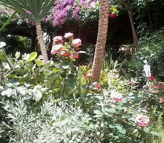 Meliti Akrata